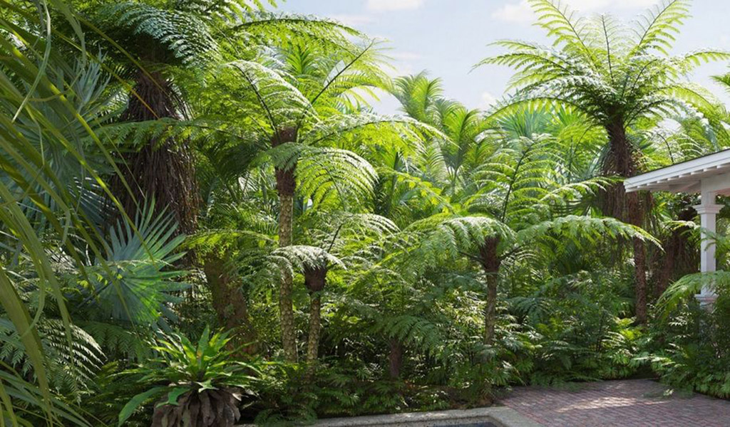 BỘ DƯƠNG XỈ - MƯỜI GIỜ